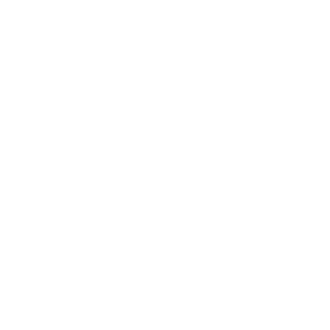Train Travel