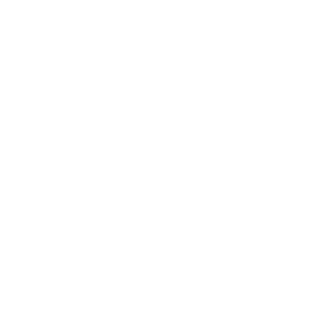 Forest Rain
