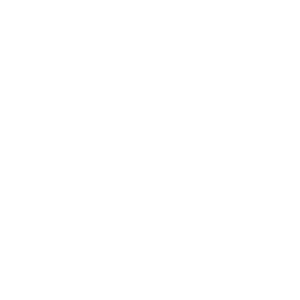 Horse Walking
