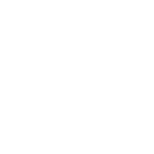 Cicadas