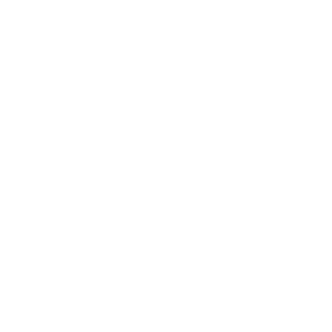 Distant Birds