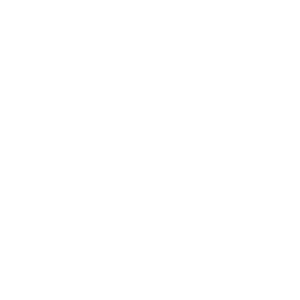 Forest Ambience