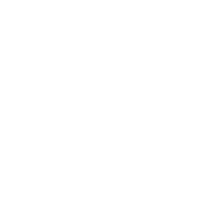Forest Insects