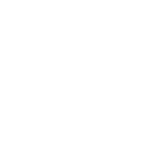 Snowy Forest