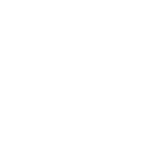 Snowfall