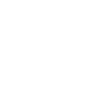 Bird Chirping