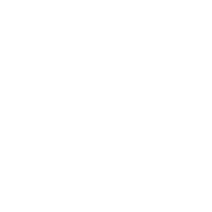 Pine Forest