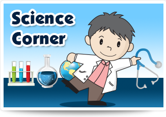 The Science Corner