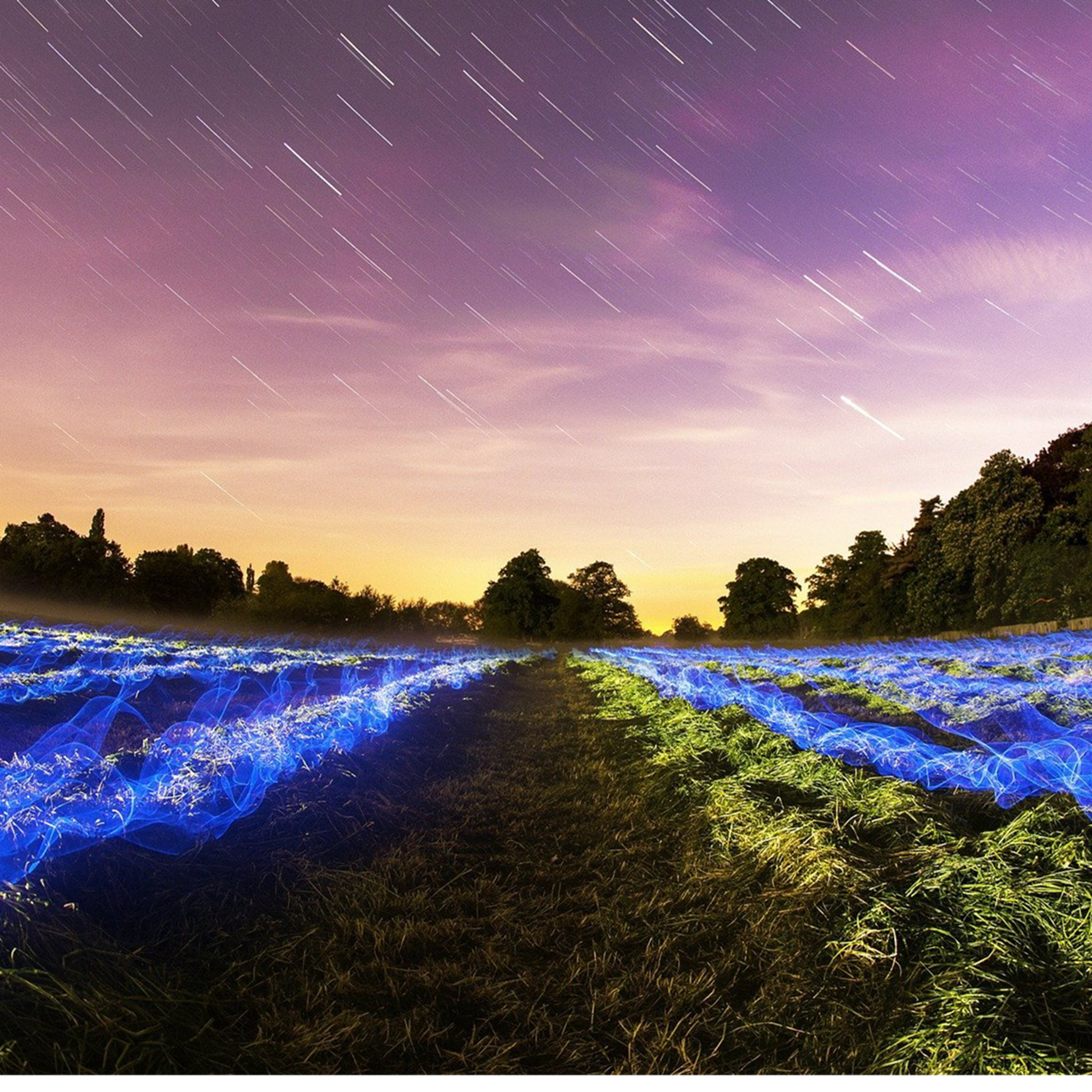 ticket 6508 org test 14