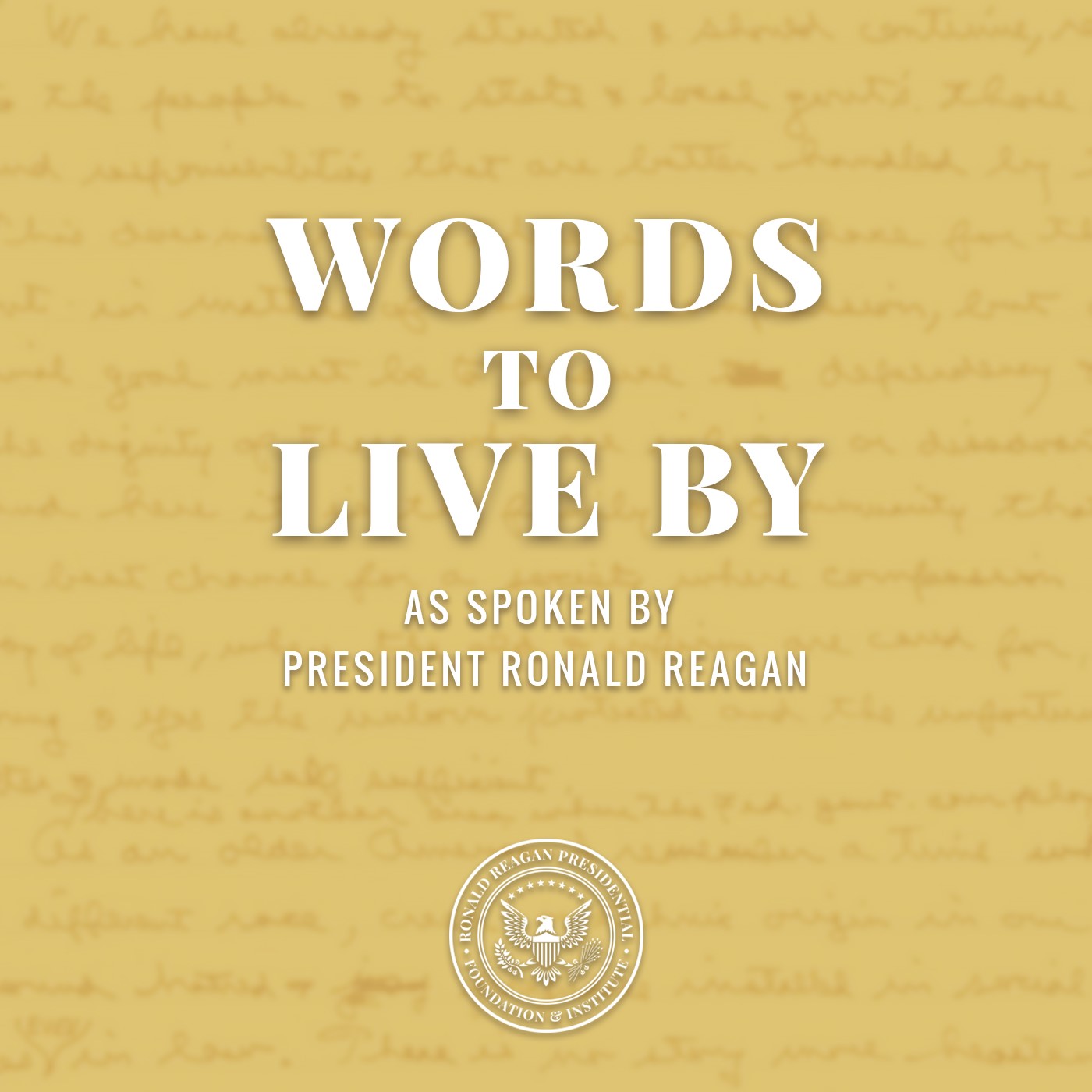 xiaofengm20241121feed01