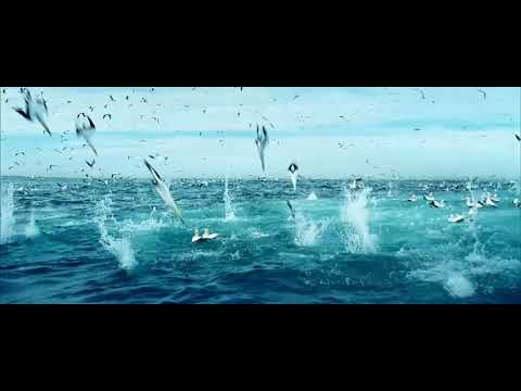 ticket 6531 org 3 second