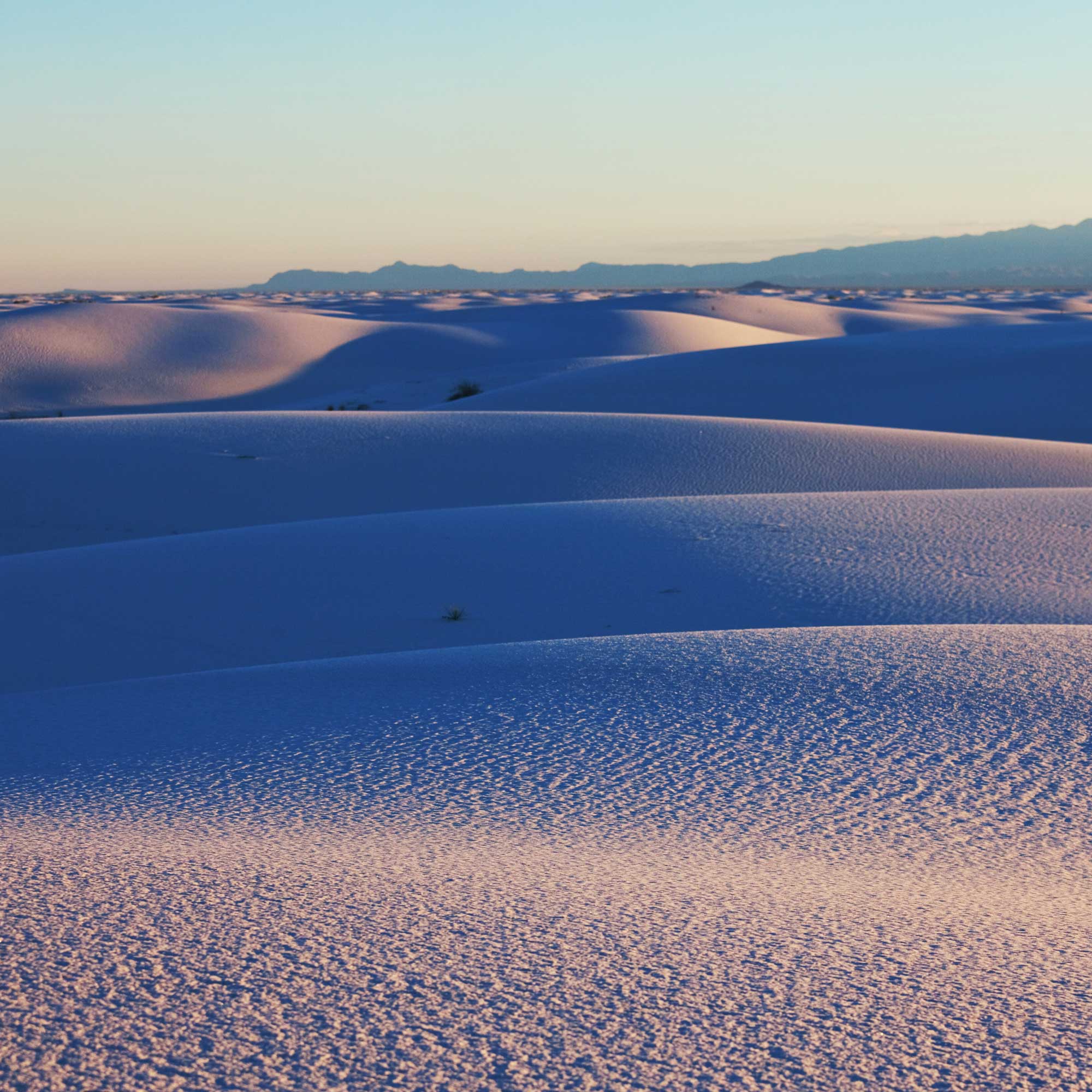 xiaofengm20241219live01